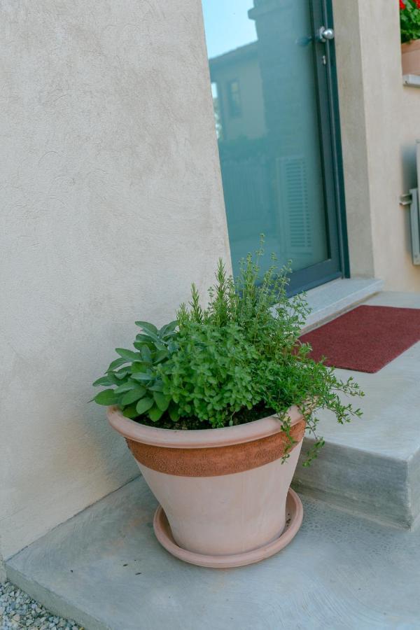 Al Centro Del Borgo Apartment Guarene Екстериор снимка